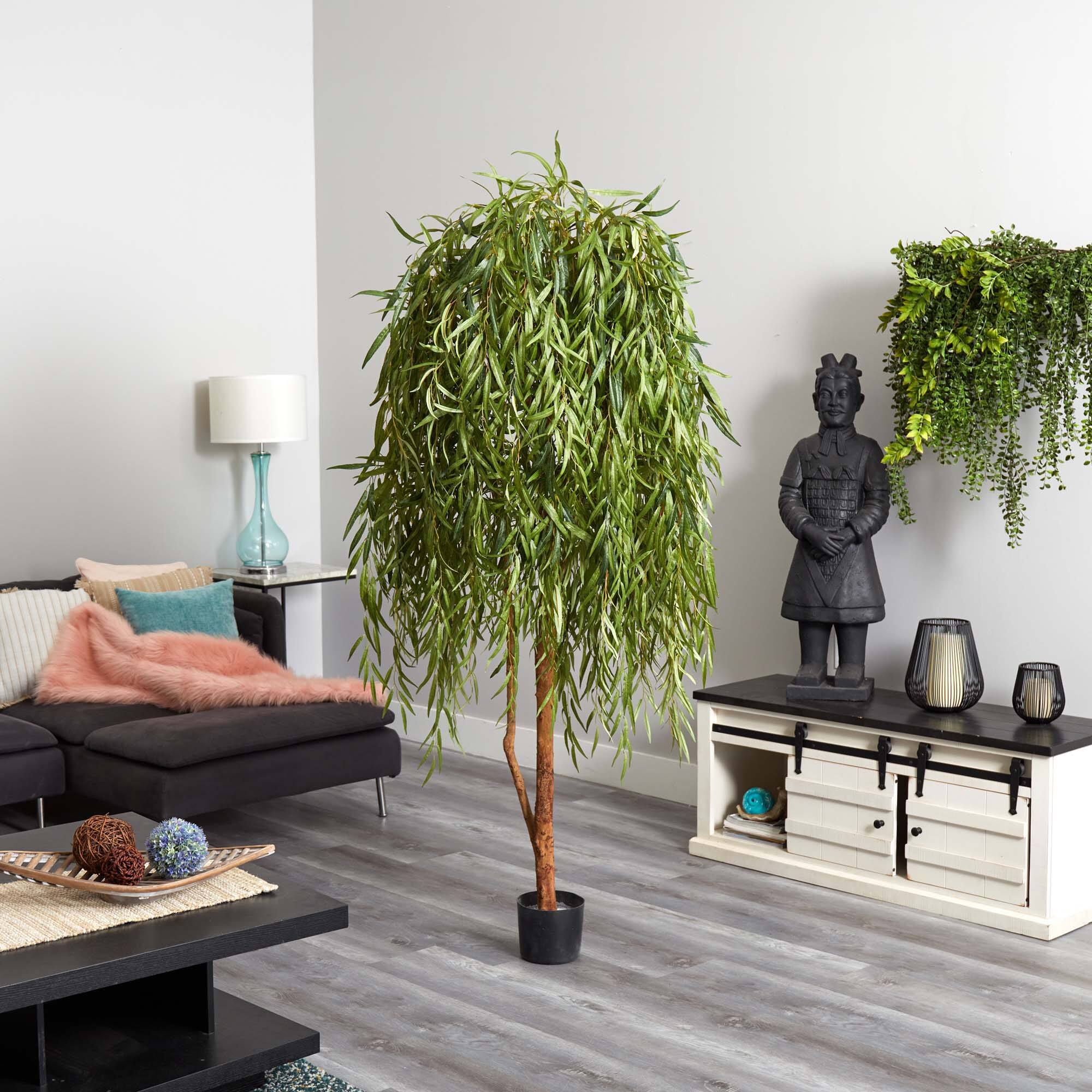 7ft. Potted Willow Tree